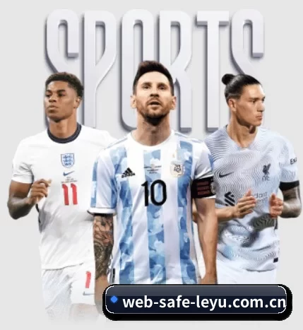 web-safe-leyu.com.cn的故事